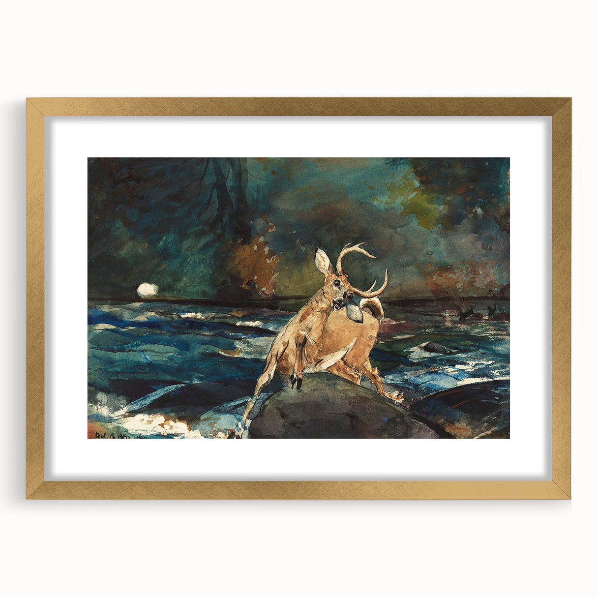 Realism Art Prints - Dramatic Deer Scene in Nature on Canvas and Acrylic