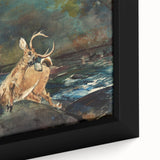 Realism Art Prints - Dramatic Deer Scene in Nature on Canvas and Acrylic