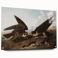 Peregrine Falcons by Audubon - Romanticism Wildlife Art Print