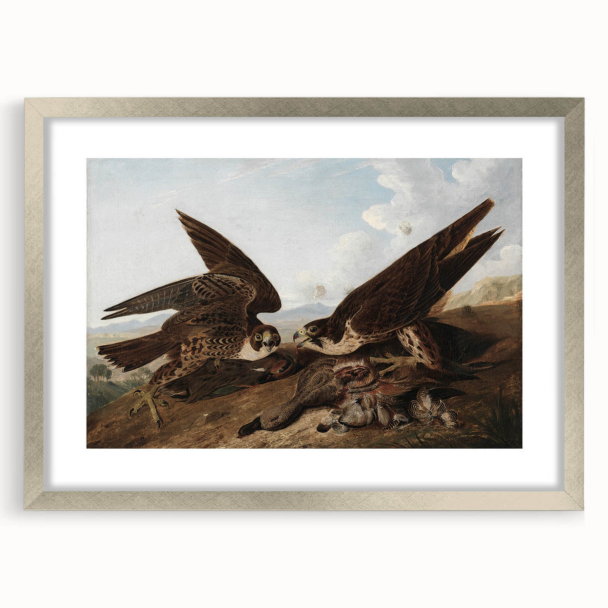 Peregrine Falcons by Audubon - Romanticism Wildlife Art Print