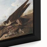 Peregrine Falcons by Audubon - Romanticism Wildlife Art Print