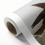 Peregrine Falcons by Audubon - Romanticism Wildlife Art Print