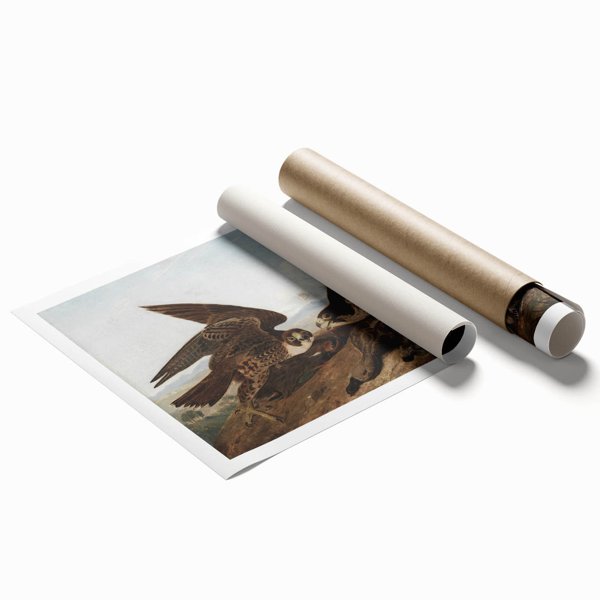 Peregrine Falcons by Audubon - Romanticism Wildlife Art Print