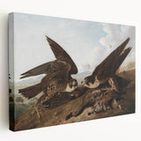 Peregrine Falcons by Audubon - Romanticism Wildlife Art Print
