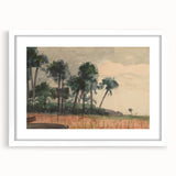 Realism Art Prints - Serene Palm Trees Landscape on Canvas and Acrylic