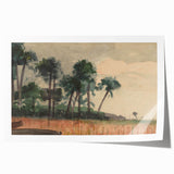 Realism Art Prints - Serene Palm Trees Landscape on Canvas and Acrylic