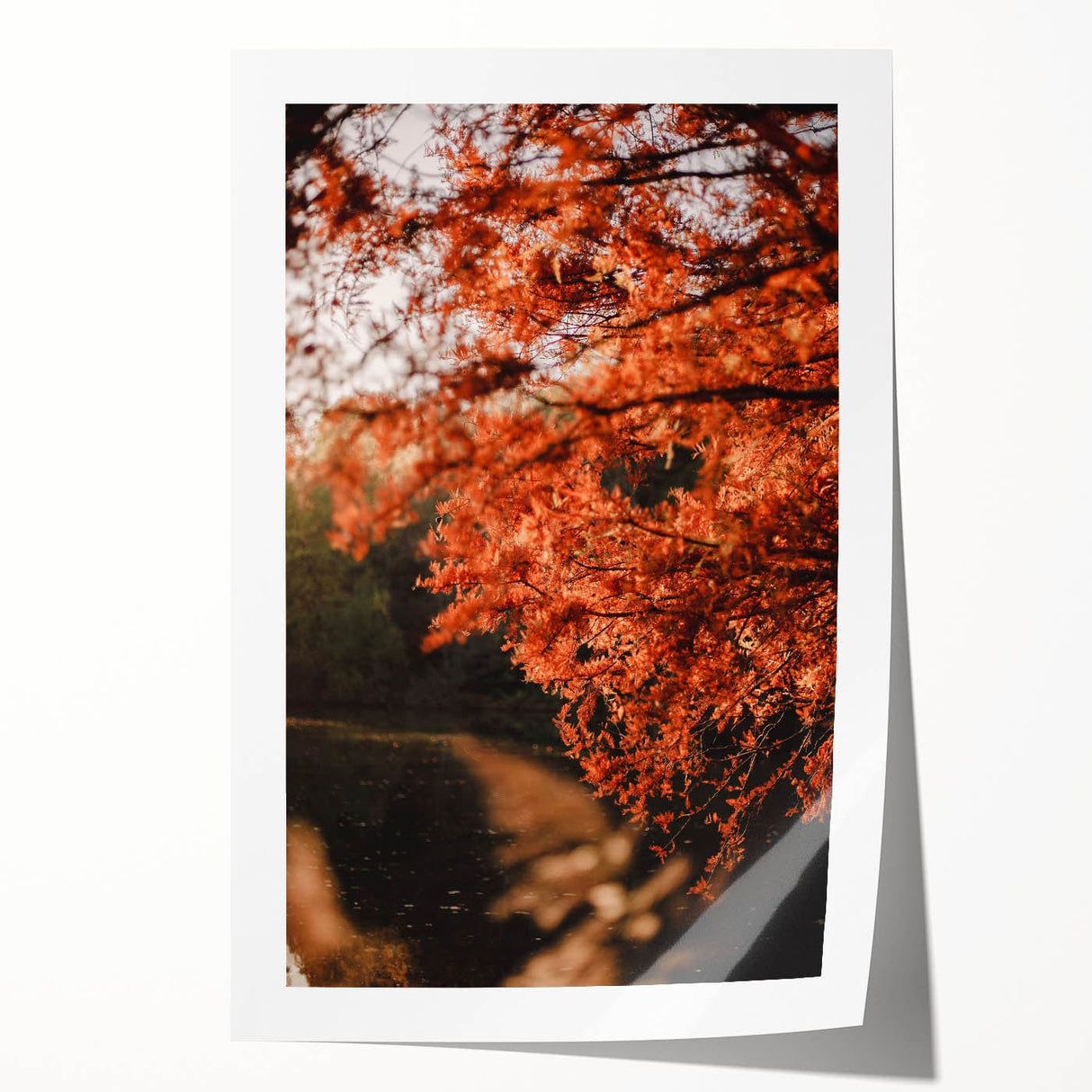 Extra large rolled print of autumnal floral art in warm earth tones, ideal for art wall dining room or bathroom.