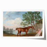 Pumpkin with a Stable Lad by George Stubbs - Romanticism Art Print