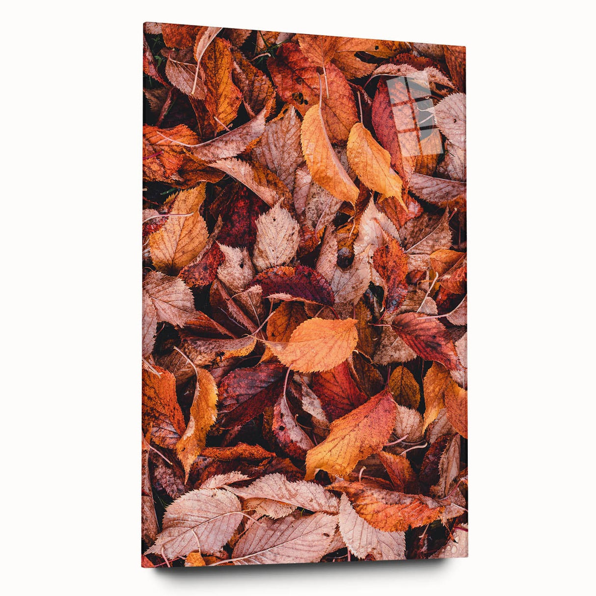 Large abstract wall art on acrylic glass, featuring warm autumnal hues, ideal for bedroom or dining room decor.