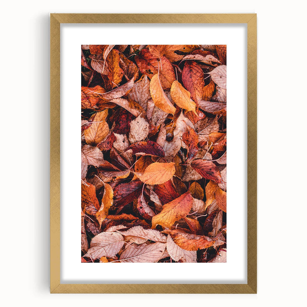 Extra large abstract art print featuring textured autumnal hues on a framed canvas, ideal for living room decor.