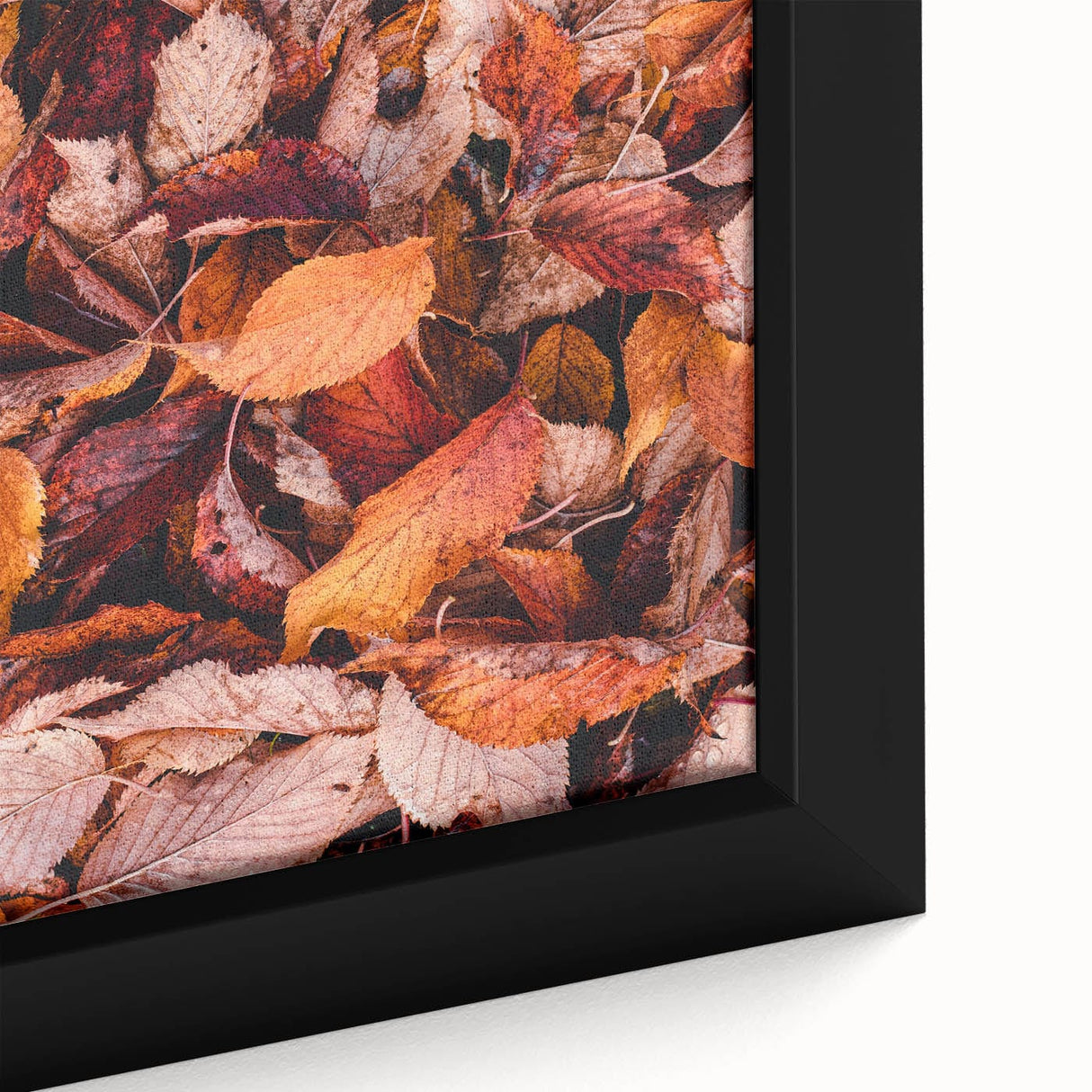 Extra large framed canvas featuring a textured design of colorful autumn trees in a black background.