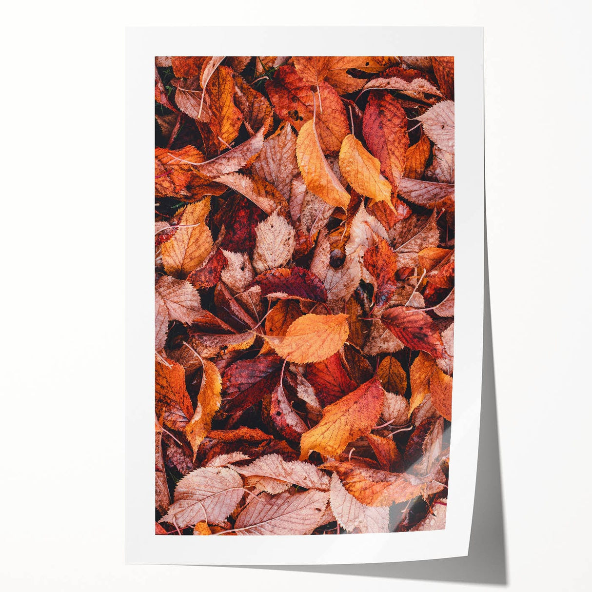 Extra large rolled print of a fall-themed floral design in warm orange and red tones, ideal for art wall dining room.