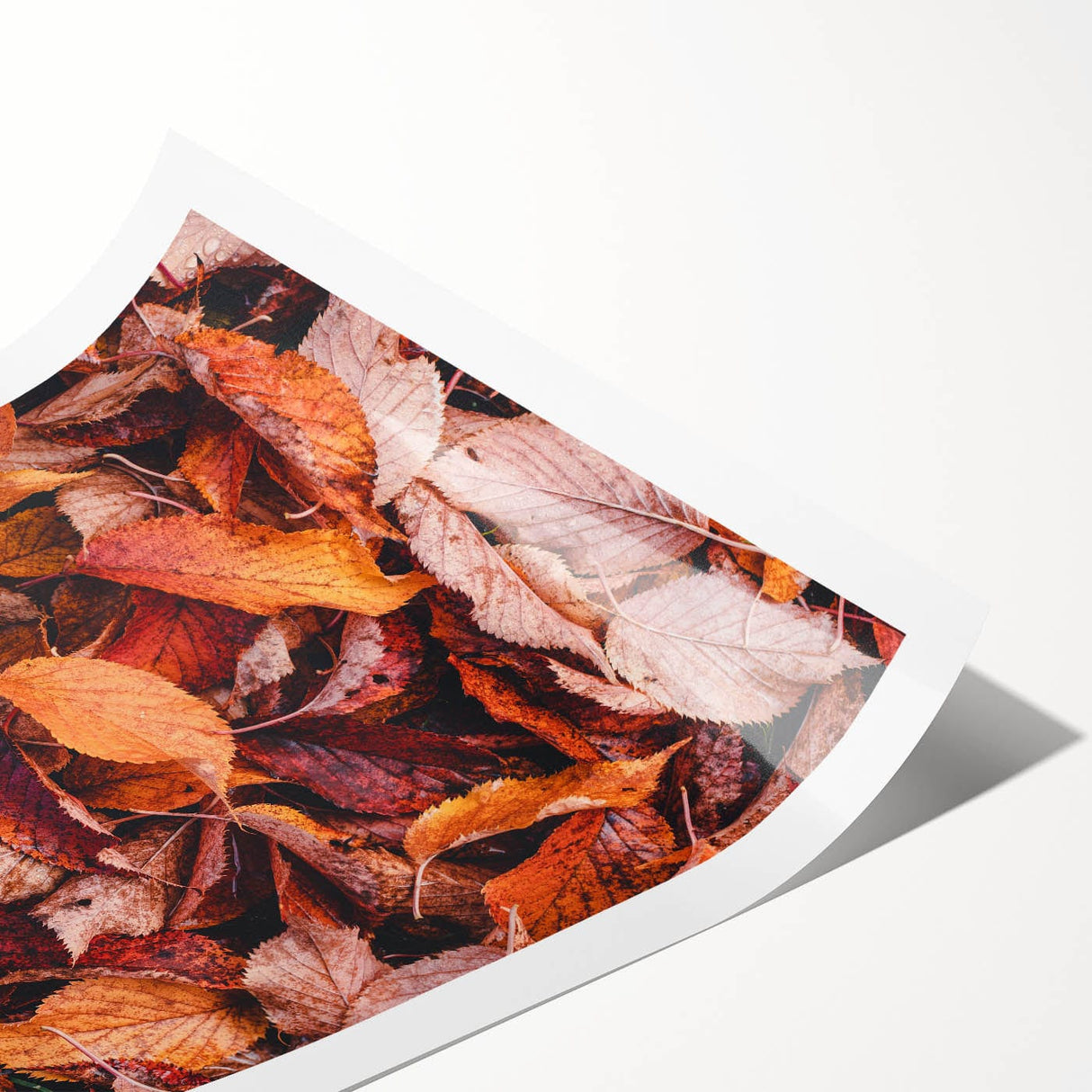 Extra large wall art featuring line art flowers in muted autumnal colors on a rolled canvas.