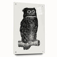 Expressionist Owl Wall Art - Bold Black & White Nature-Inspired Design