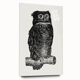 Expressionist Owl Wall Art - Bold Black & White Nature-Inspired Design