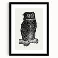 Expressionist Owl Wall Art - Bold Black & White Nature-Inspired Design