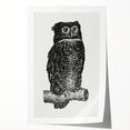 Expressionist Owl Wall Art - Bold Black & White Nature-Inspired Design