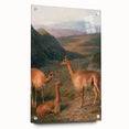 Realism Art Prints - Peaceful Vicuñas in Mountain Landscape on Canvas