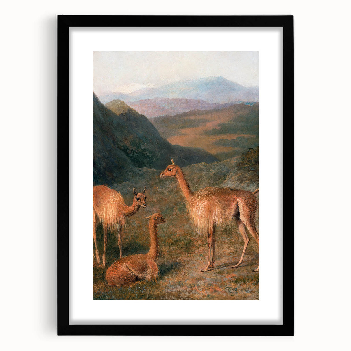 Realism Art Prints - Peaceful Vicuñas in Mountain Landscape on Canvas