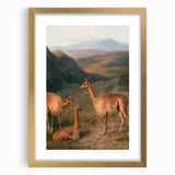 Realism Art Prints - Peaceful Vicuñas in Mountain Landscape on Canvas