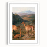Realism Art Prints - Peaceful Vicuñas in Mountain Landscape on Canvas
