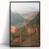 Realism Art Prints - Peaceful Vicuñas in Mountain Landscape on Canvas