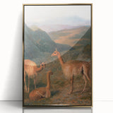 Realism Art Prints - Peaceful Vicuñas in Mountain Landscape on Canvas