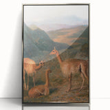 Realism Art Prints - Peaceful Vicuñas in Mountain Landscape on Canvas