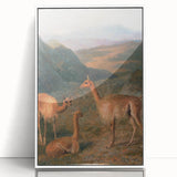 Realism Art Prints - Peaceful Vicuñas in Mountain Landscape on Canvas