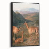Realism Art Prints - Peaceful Vicuñas in Mountain Landscape on Canvas