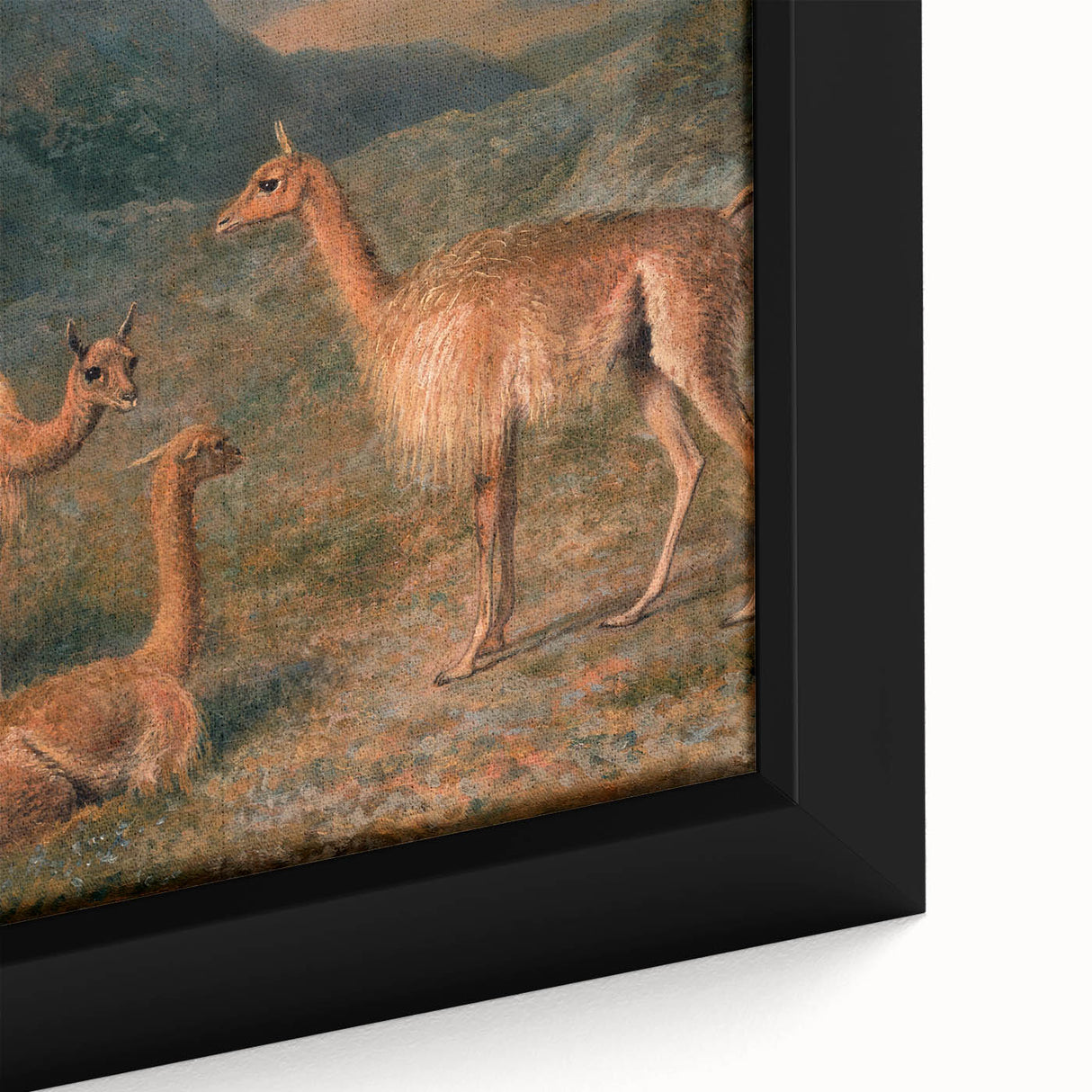 Realism Art Prints - Peaceful Vicuñas in Mountain Landscape on Canvas