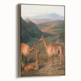 Realism Art Prints - Peaceful Vicuñas in Mountain Landscape on Canvas