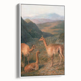 Realism Art Prints - Peaceful Vicuñas in Mountain Landscape on Canvas