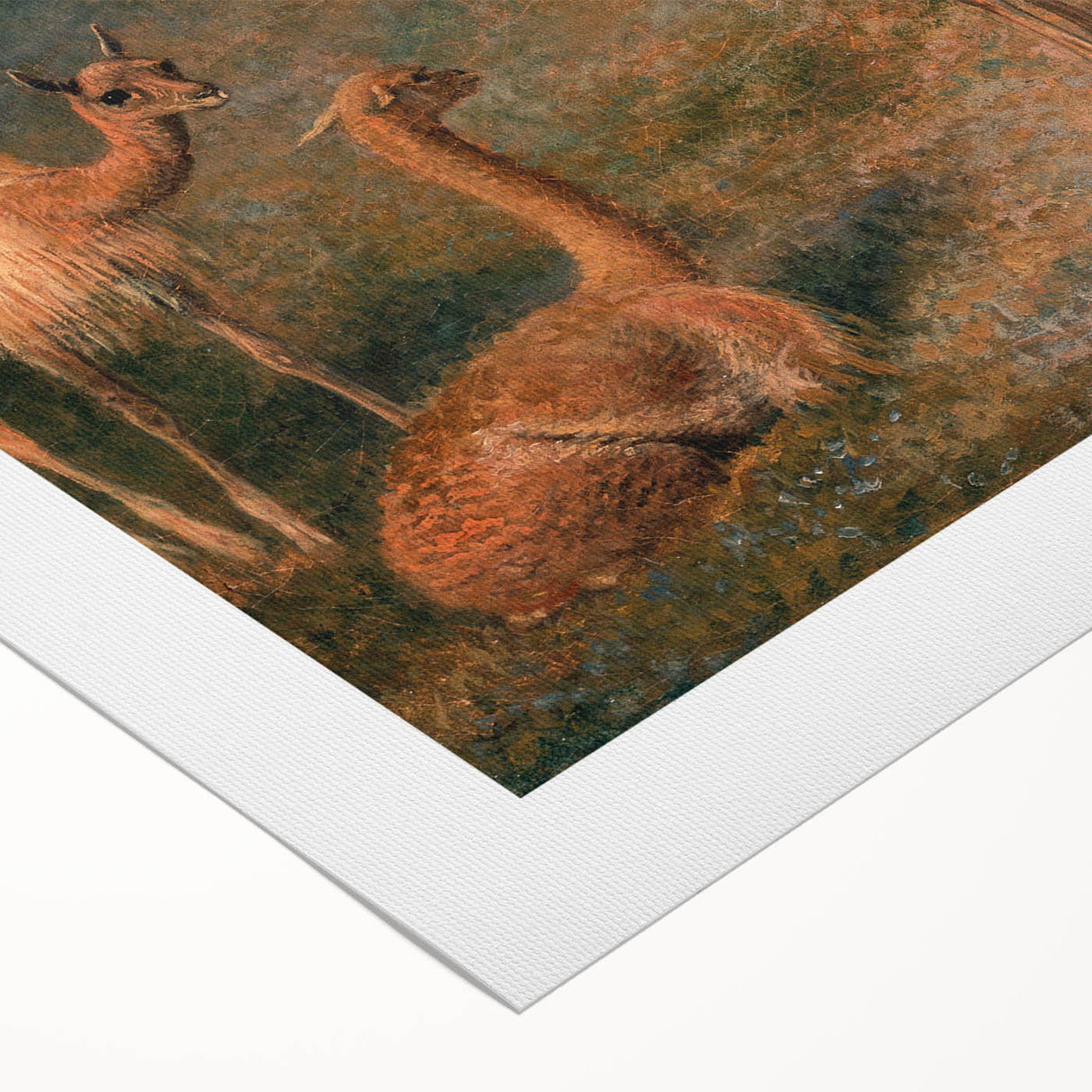 Realism Art Prints - Peaceful Vicuñas in Mountain Landscape on Canvas