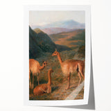 Realism Art Prints - Peaceful Vicuñas in Mountain Landscape on Canvas