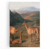 Realism Art Prints - Peaceful Vicuñas in Mountain Landscape on Canvas