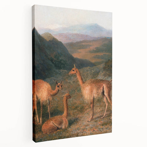 Realism Art Prints - Peaceful Vicuñas in Mountain Landscape on Canvas