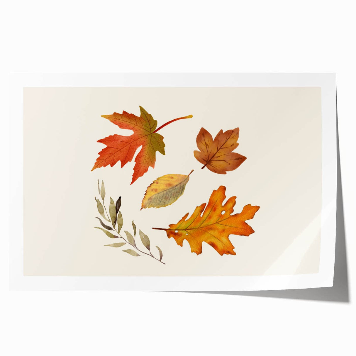 Extra large rolled print featuring a fall-themed floral design in warm orange and brown tones.