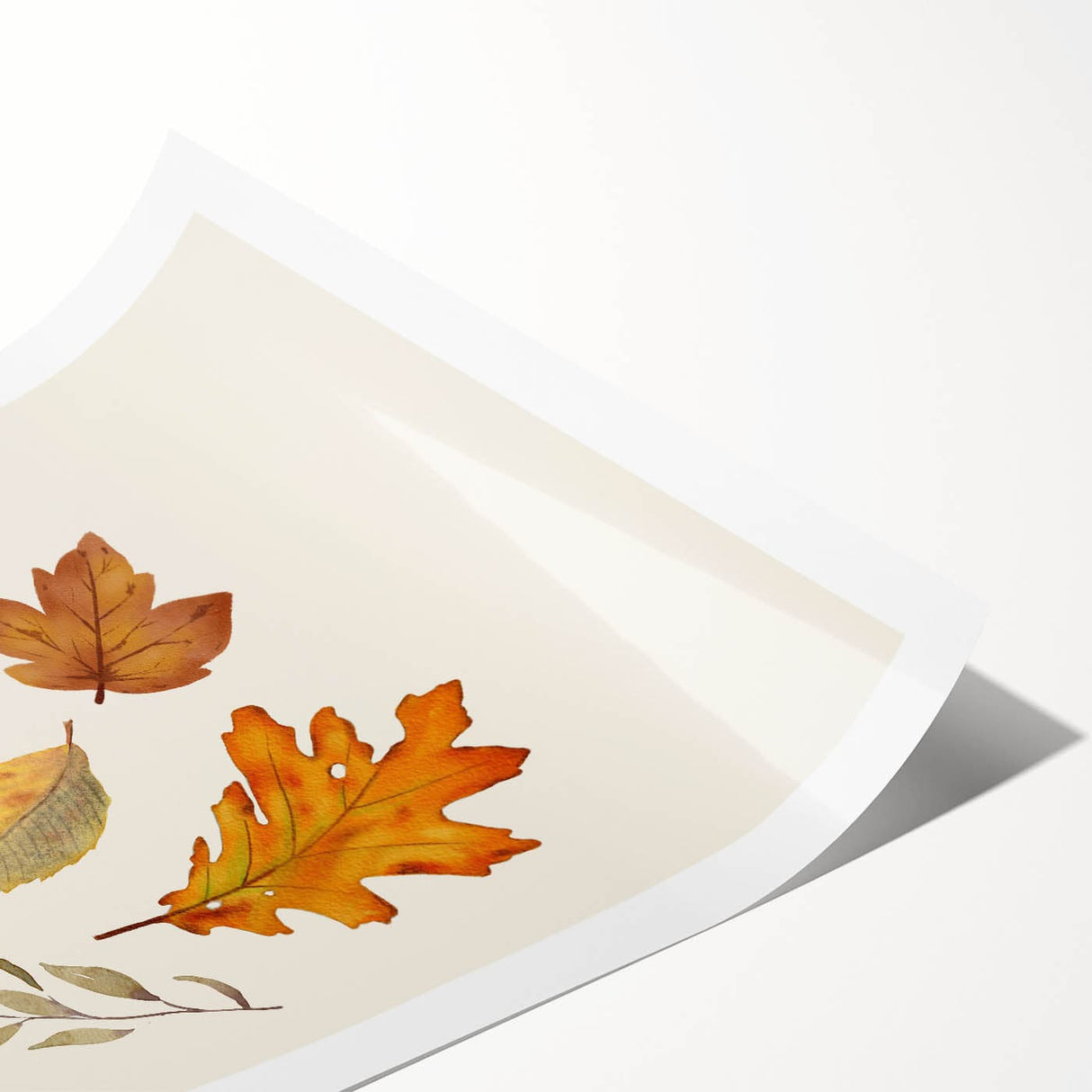 Extra large wall art featuring line art flowers in muted autumn colors on rolled canvas.