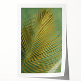 Vibrant rolled print showcasing a floral and botanical design with intricate details, featuring lush green leaves and colorful flowers, ideal for home decor.