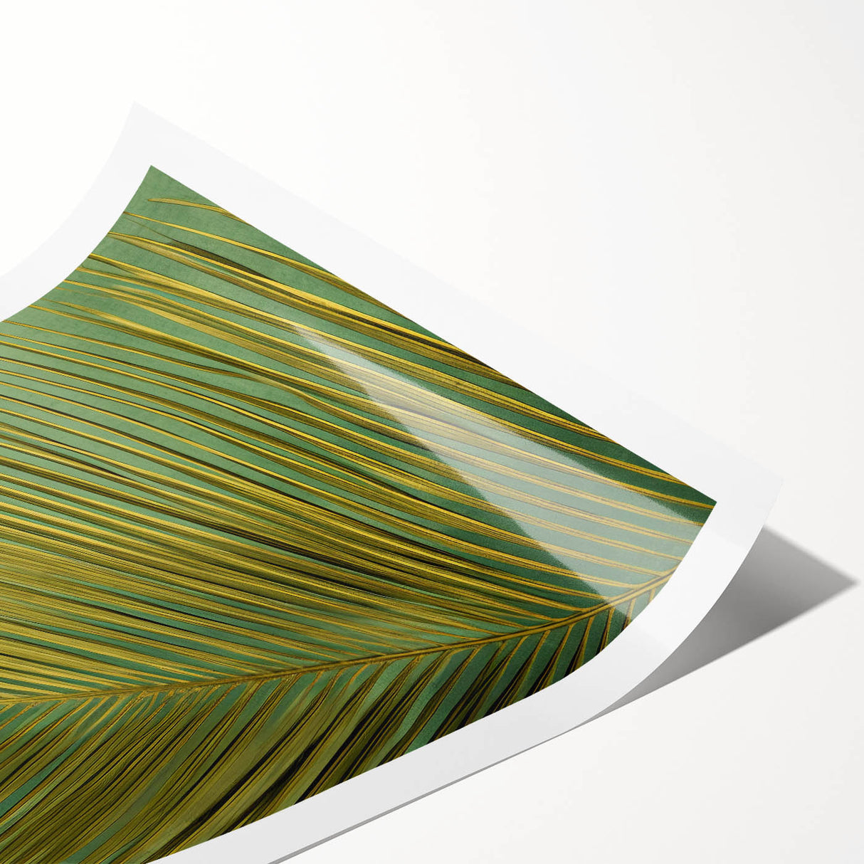 Rolled print showcasing an intricate floral and botanical wall art design, featuring vibrant colors and detailed foliage patterns, perfect for home decor.