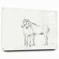 Fine Art Realism Sketch - Two Horses Standing Together Art Print Canvas