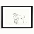 Fine Art Realism Sketch - Two Horses Standing Together Art Print Canvas