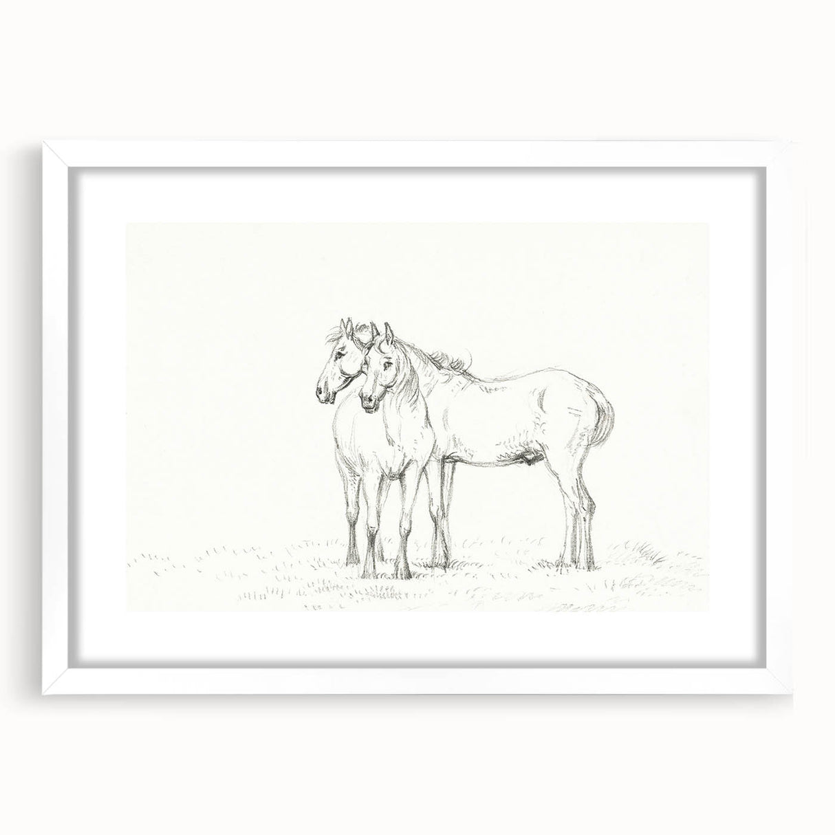 Fine Art Realism Sketch - Two Horses Standing Together Art Print Canvas