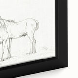 Fine Art Realism Sketch - Two Horses Standing Together Art Print Canvas