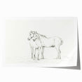 Fine Art Realism Sketch - Two Horses Standing Together Art Print Canvas