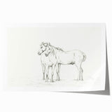 Fine Art Realism Sketch - Two Horses Standing Together Art Print Canvas