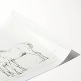 Fine Art Realism Sketch - Two Horses Standing Together Art Print Canvas