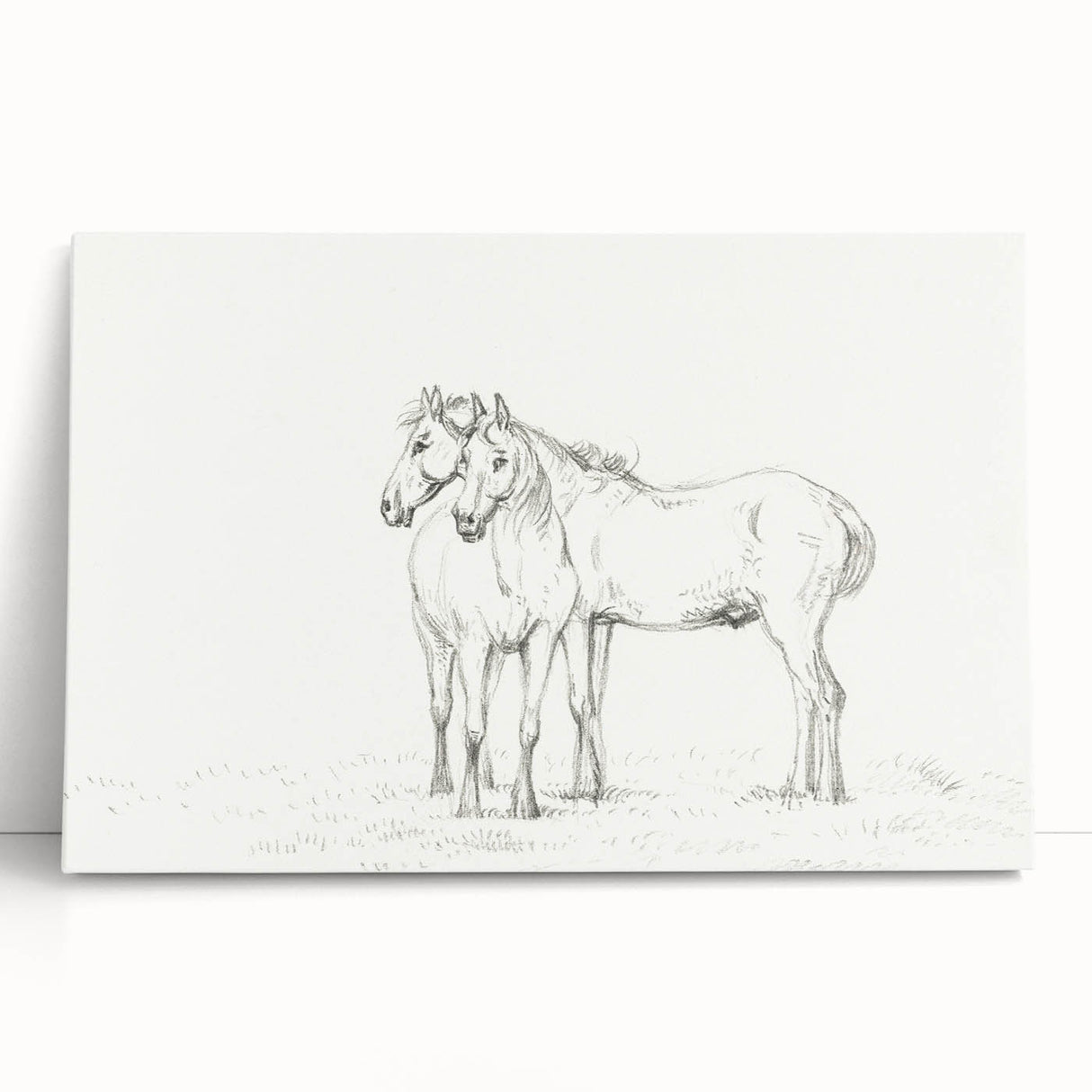 Fine Art Realism Sketch - Two Horses Standing Together Art Print Canvas