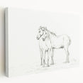 Fine Art Realism Sketch - Two Horses Standing Together Art Print Canvas